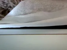 Manuela1334 15
