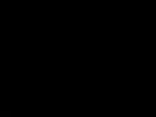 Vaioletrose 181