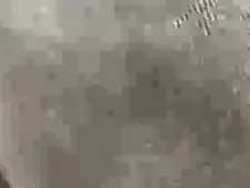 Johannaa 19