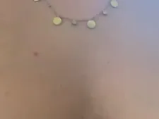 Labrunette 29