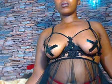 SpicyStorm 66