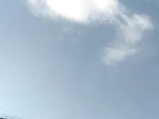 Lindanbeo00 15