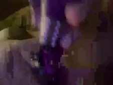 Suikerspin1 2