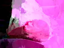 Lolalafemme 54